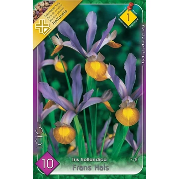 Iris hollandica &#039;Frans Hals&#039; - Holland írisz