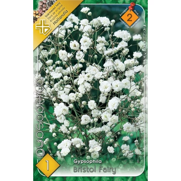 Gypsophila paniculata 'Bristol Fairy' - Buglyos fátyolvirág